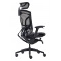 Премиум эргономичное кресло GT Chair Dvary X, чёрный
